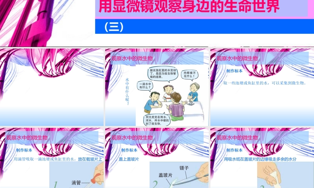 用显微镜观察身边的生命世界.ppt