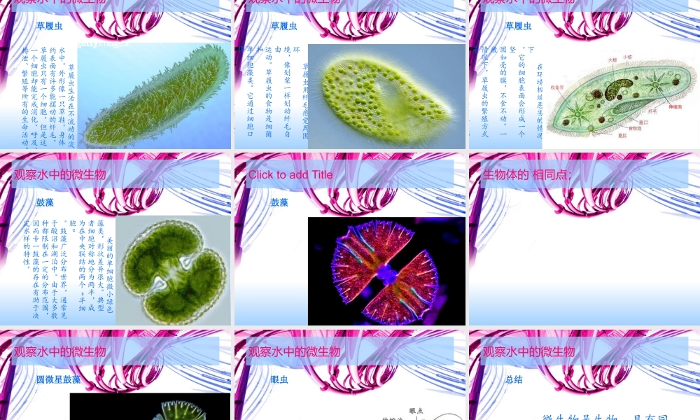 用显微镜观察身边的生命世界.ppt