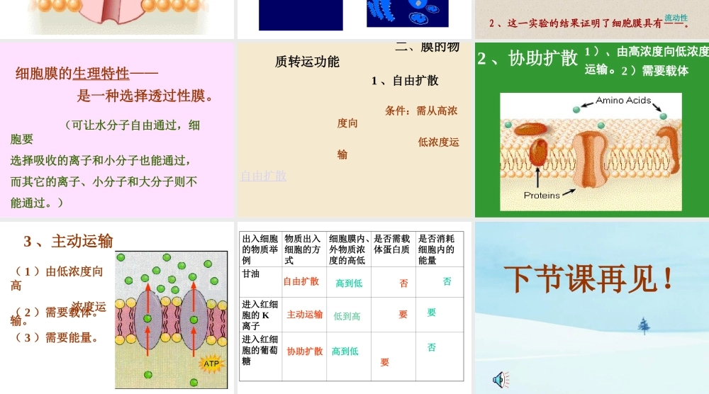 用红色荧光标记人细胞膜上的蛋白质.ppt