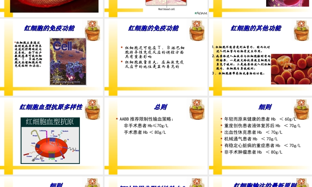 用血安全与风险--如何合理用血.ppt