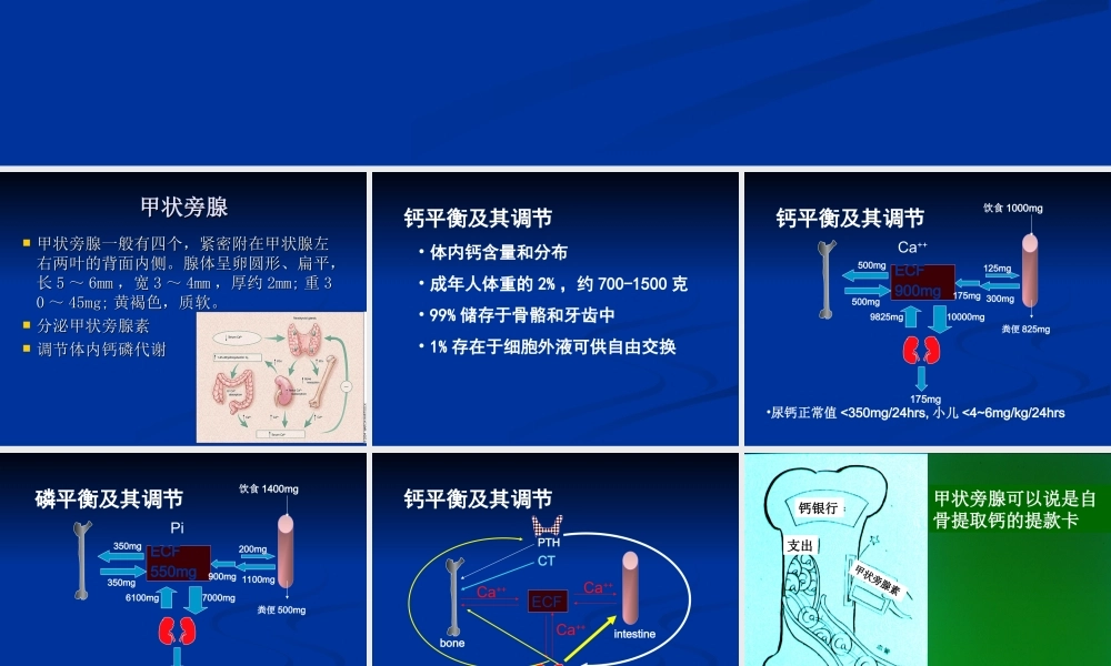 甲状旁腺功能亢进症.ppt
