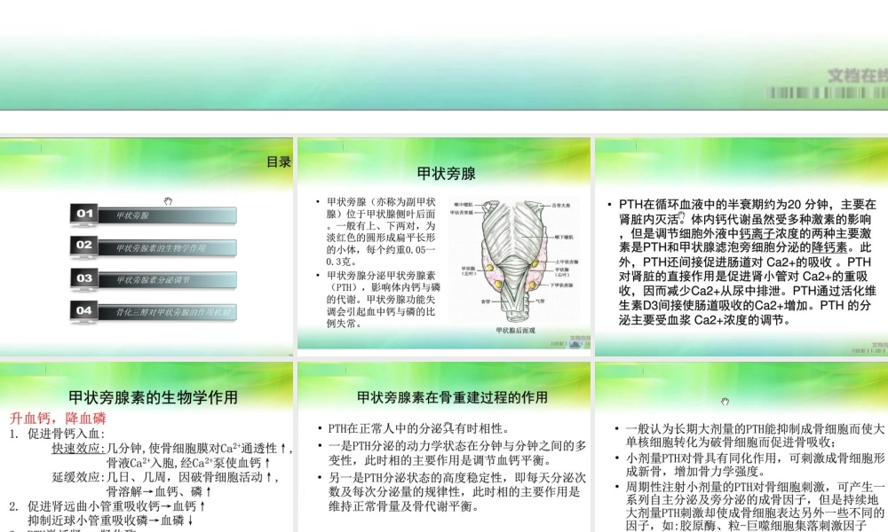 甲状旁腺激素测定.ppt