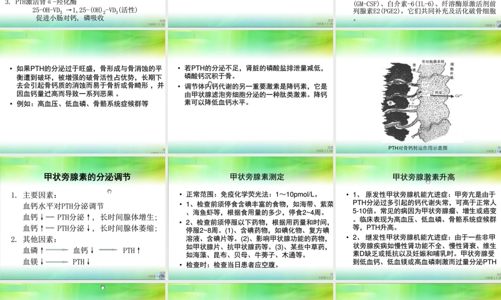 甲状旁腺激素测定.ppt