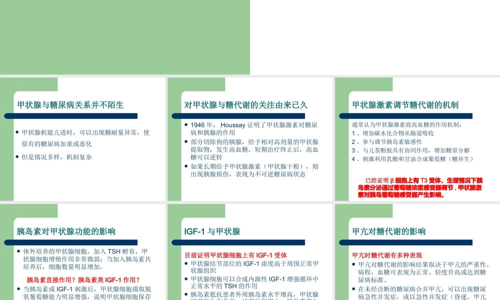 甲状腺与糖尿病概要.ppt