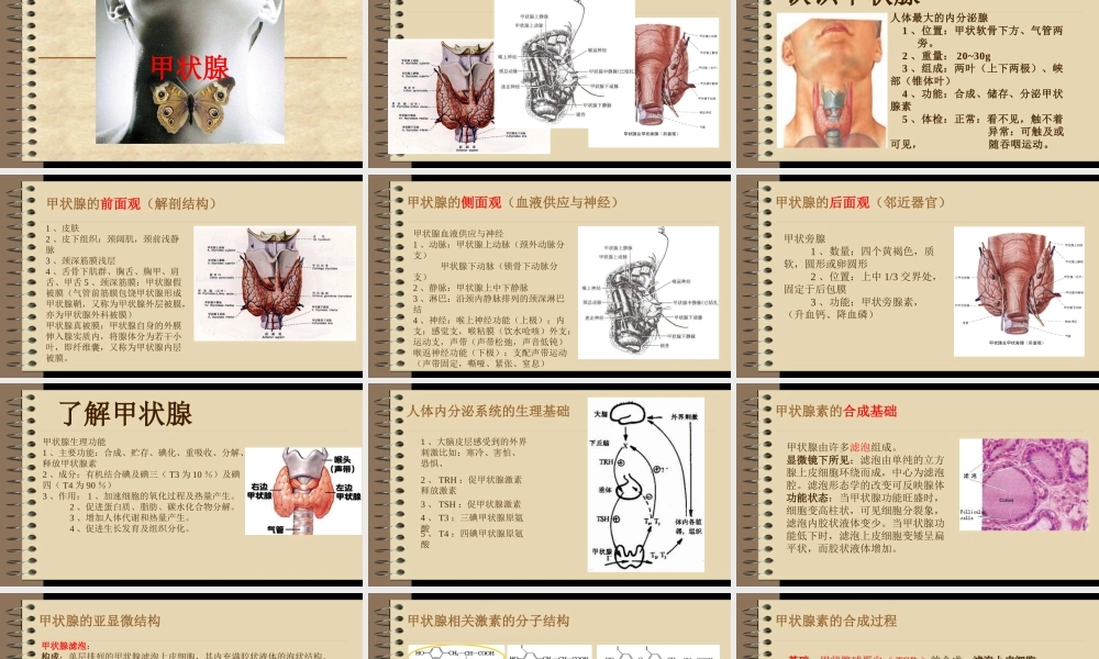 甲状腺——吴旭威.pptx
