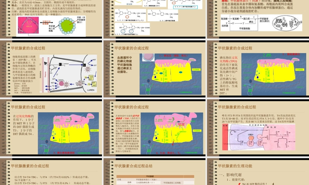 甲状腺——吴旭威.pptx