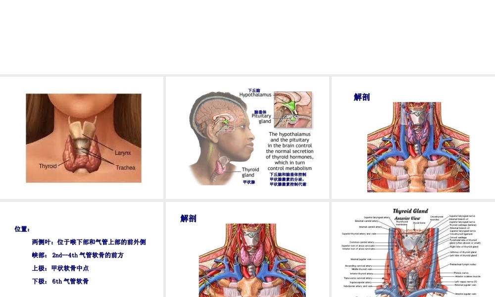 甲状腺切除术.ppt.ppt