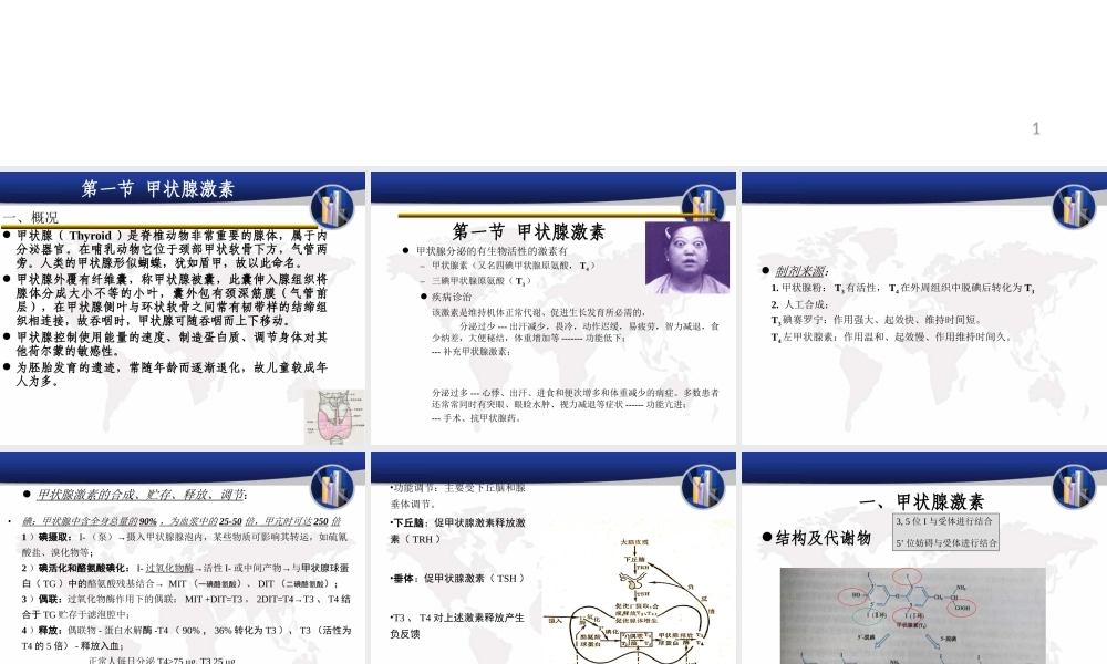 甲状腺激素及抗甲状腺药.ppt