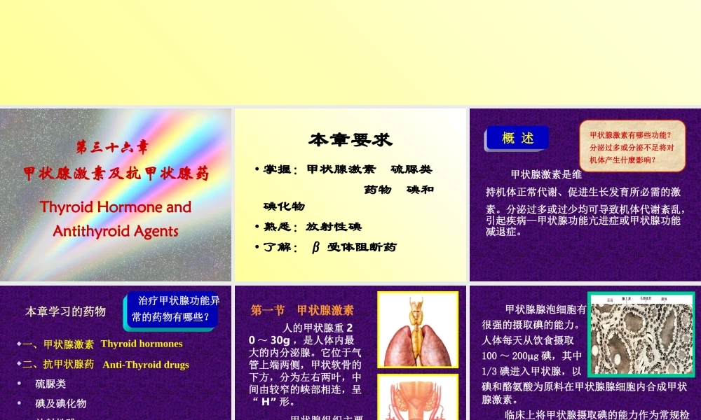 甲状腺激素受体.ppt