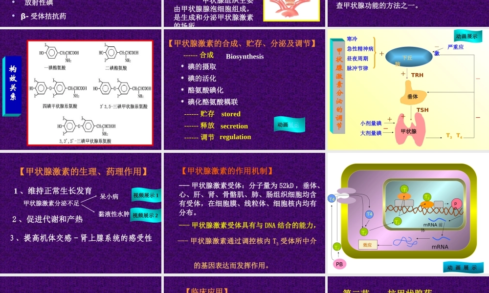 甲状腺激素受体.ppt