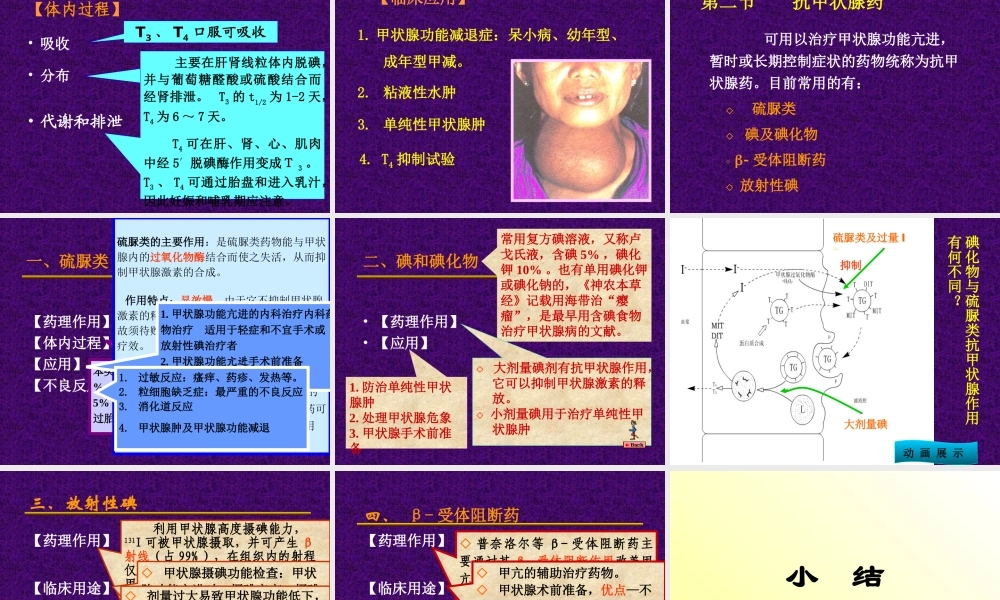 甲状腺激素受体.ppt