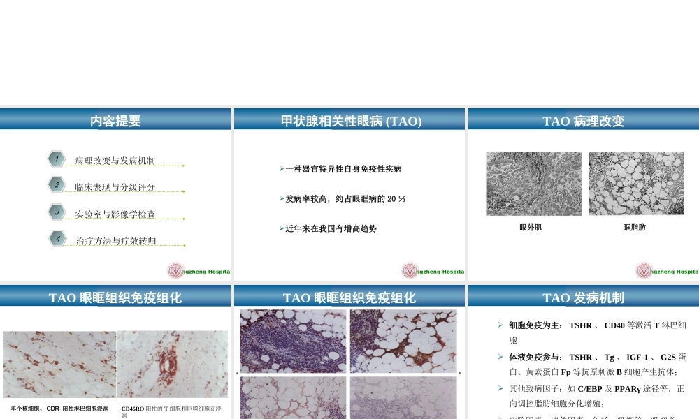 甲状腺相关性眼病新进展研究.ppt