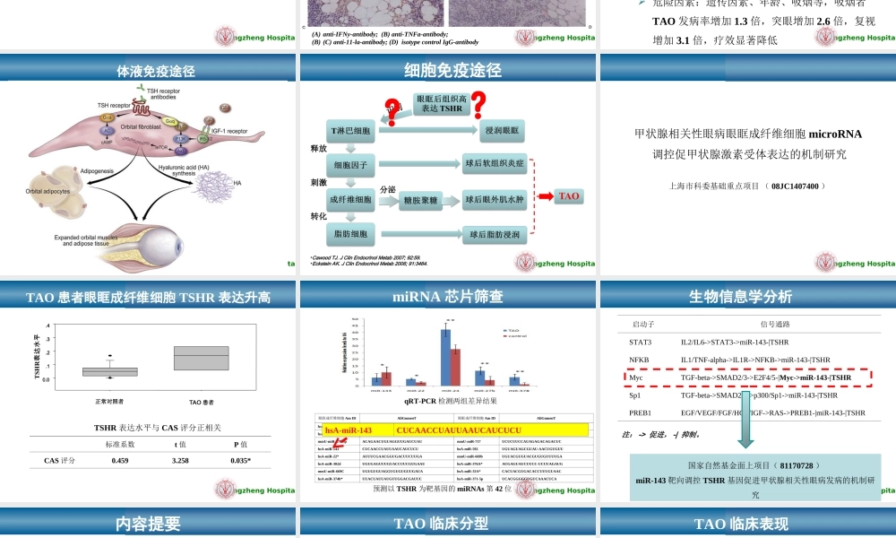 甲状腺相关性眼病新进展研究.ppt