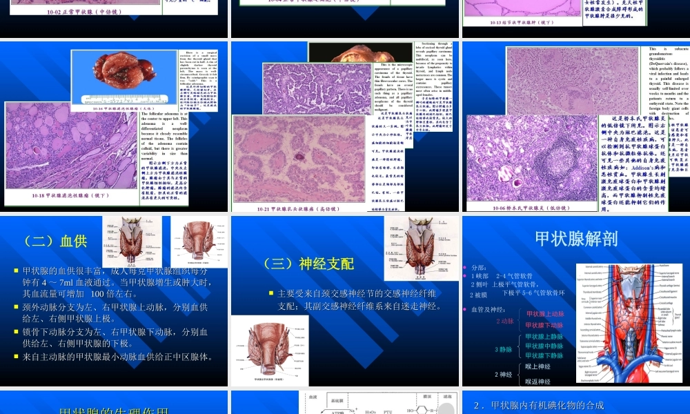 甲状腺结节(内训资料).ppt