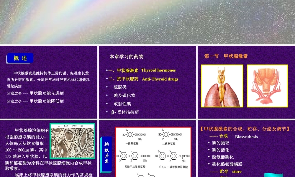 甲状腺药.ppt