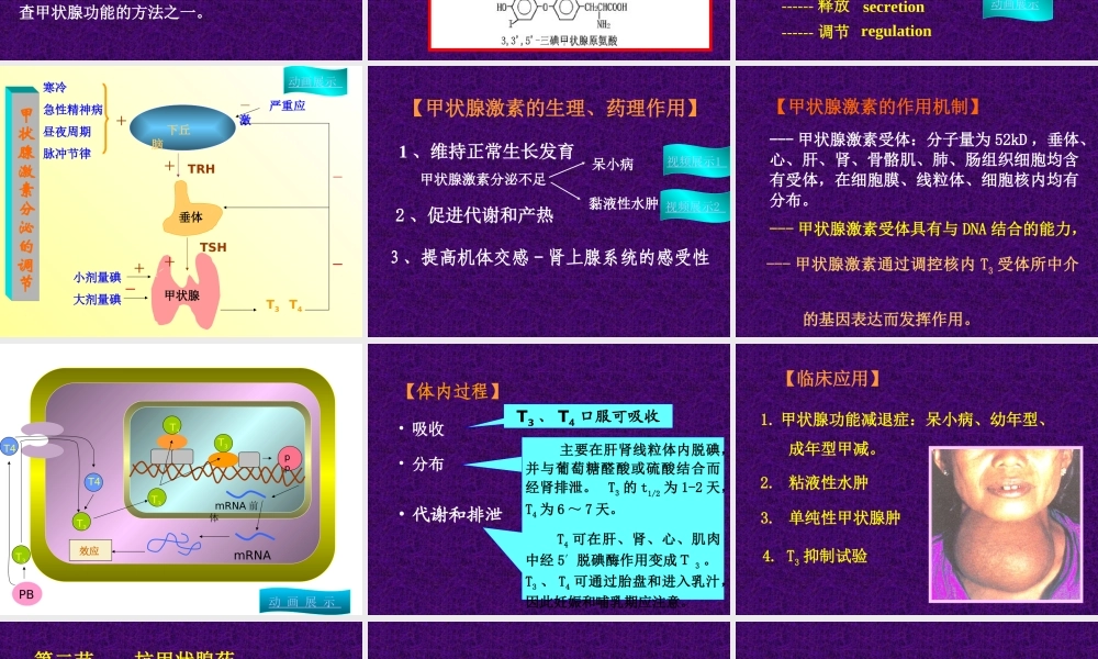 甲状腺药.ppt