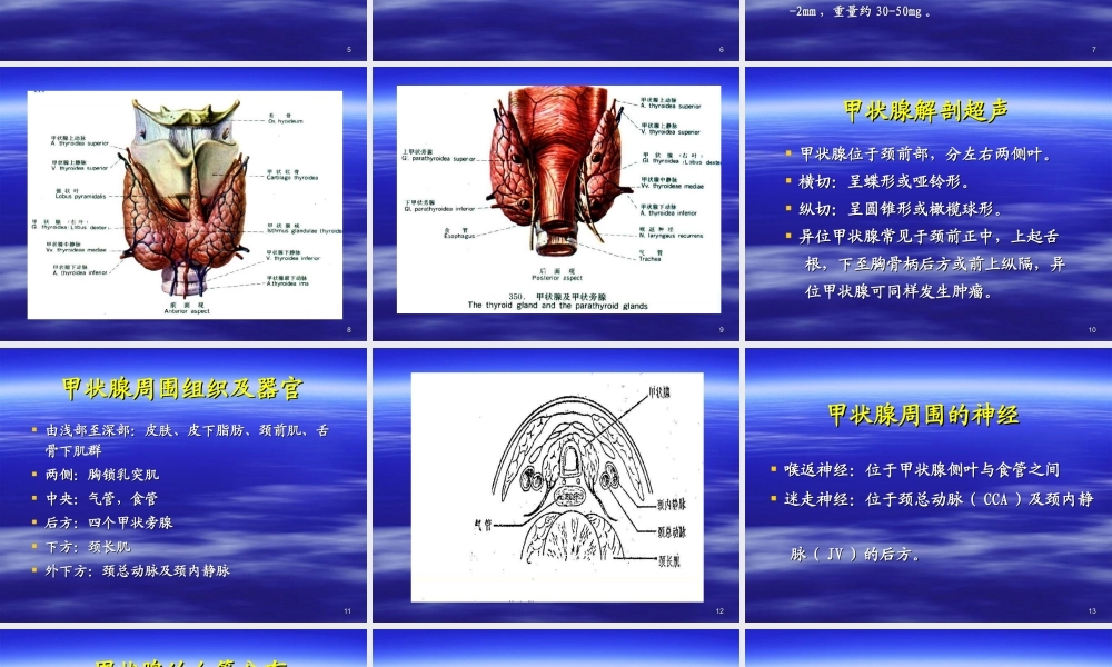 甲状腺超声1.ppt
