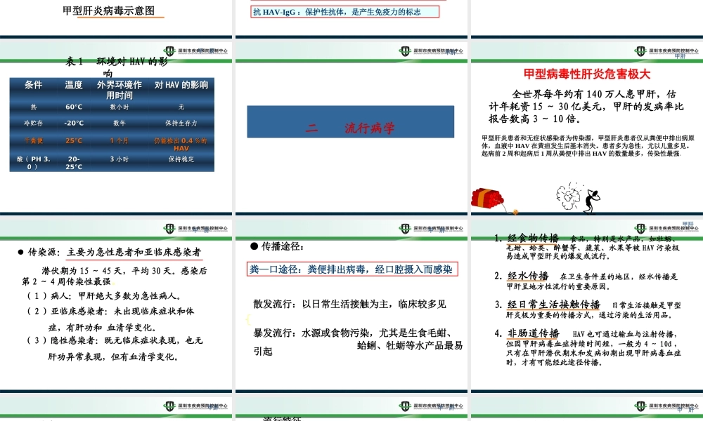 甲肝2014.10.ppt