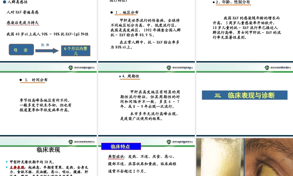 甲肝2014.10.ppt