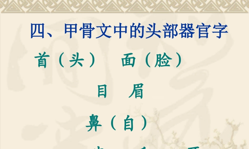 甲骨文头部器官字(四).ppt