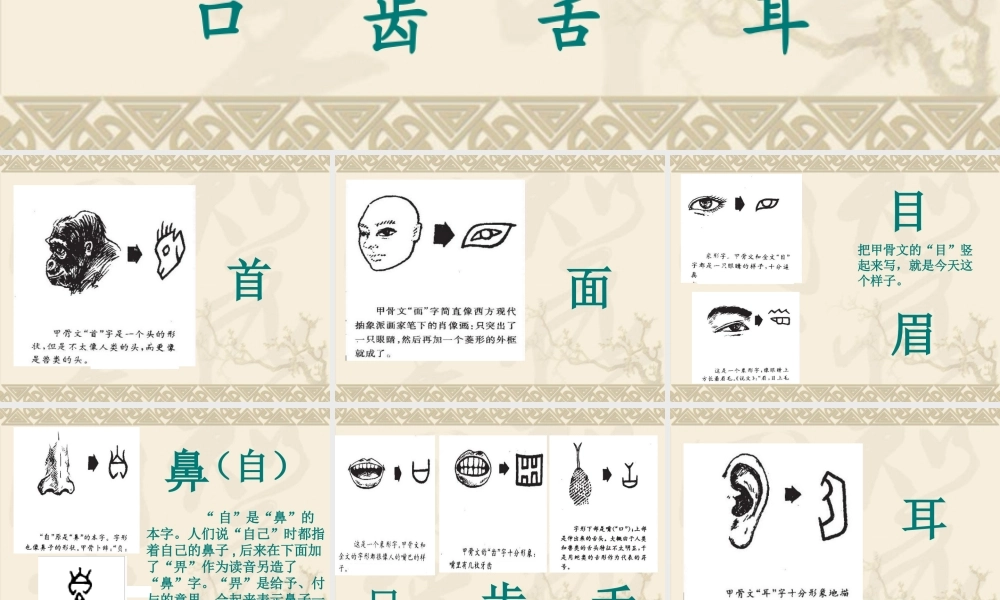 甲骨文头部器官字(四).ppt