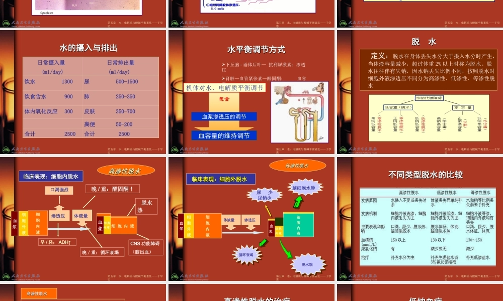电解质紊乱——急诊科.ppt