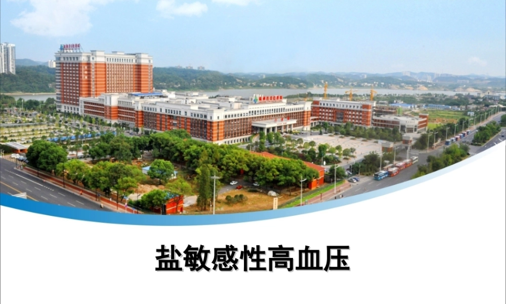 盐敏感性高血压.ppt