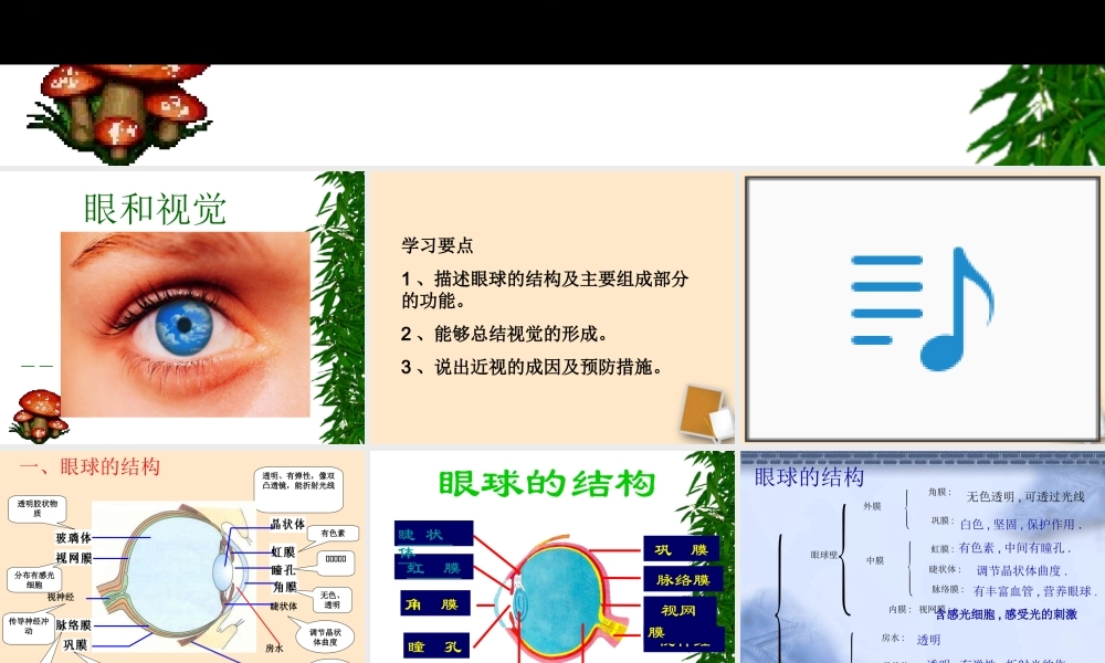 眼与视觉-2.ppt