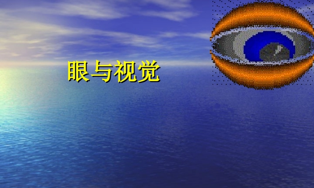 眼与视觉.ppt