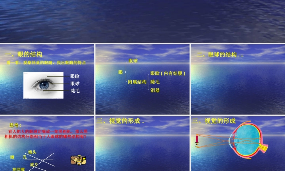 眼与视觉.ppt