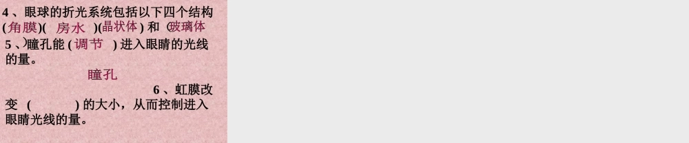 眼和视觉第.ppt