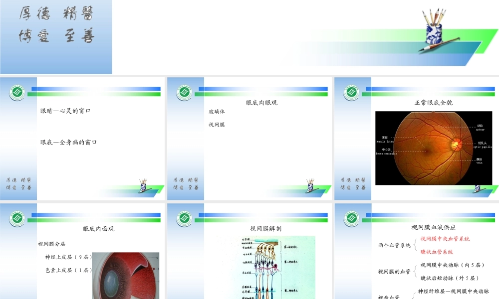 眼底病与全身病.ppt