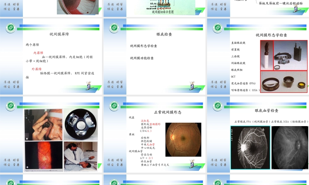 眼底病与全身病.ppt
