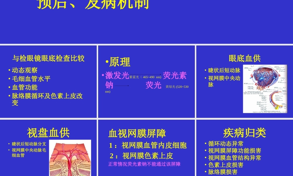 眼底血管荧光造影.ppt