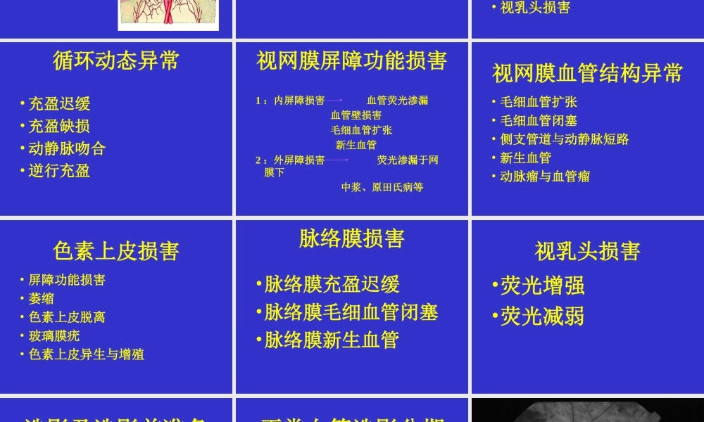 眼底血管荧光造影.ppt