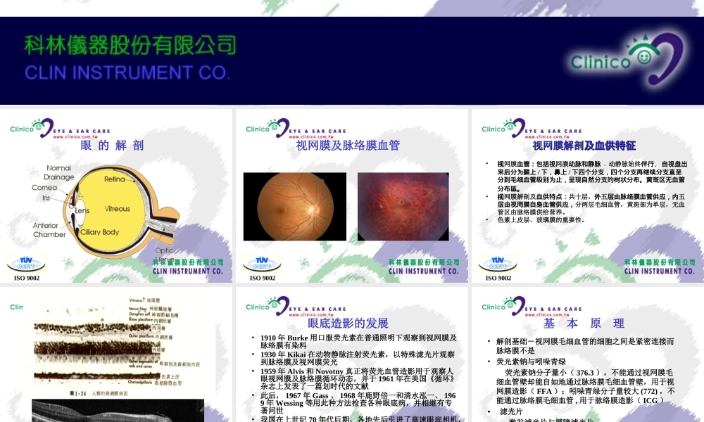 眼底造影基础.ppt