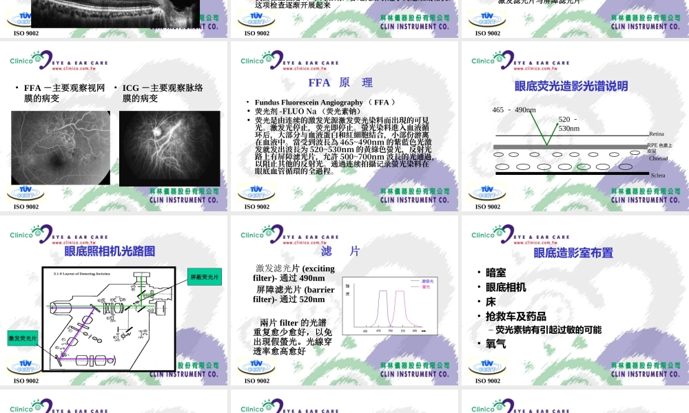 眼底造影基础.ppt