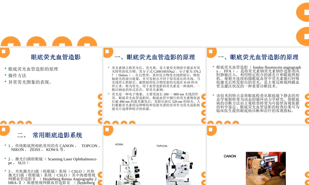 眼底血管造影.ppt