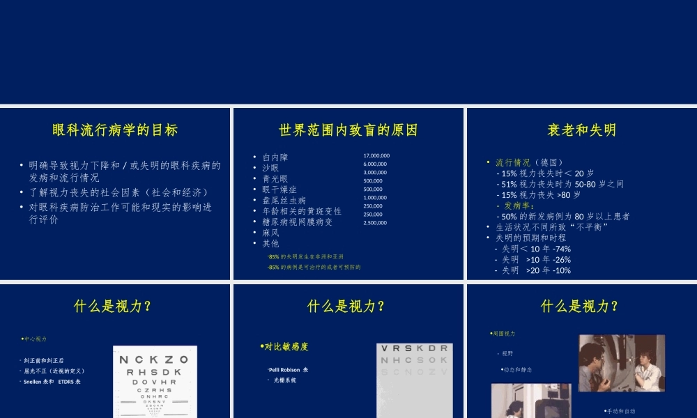 眼科流行病学-视觉朦胧.ppt