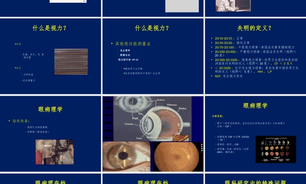 眼科流行病学-视觉朦胧.ppt