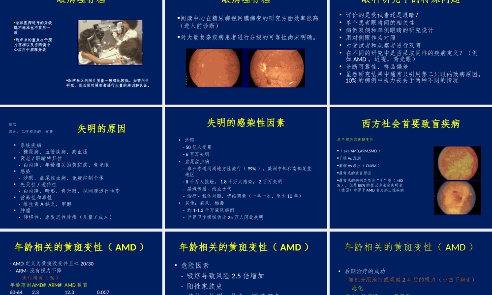 眼科流行病学-视觉朦胧.ppt
