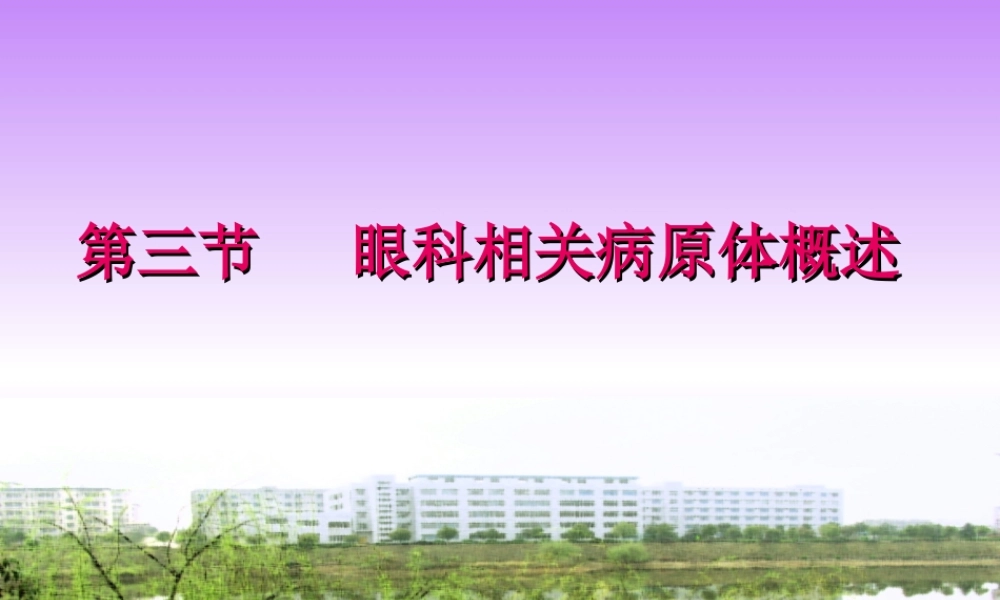 眼科相关病原体概述.ppt