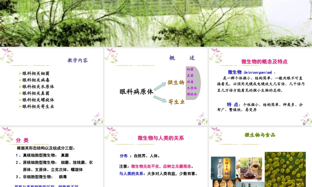 眼科相关病原体概述.ppt