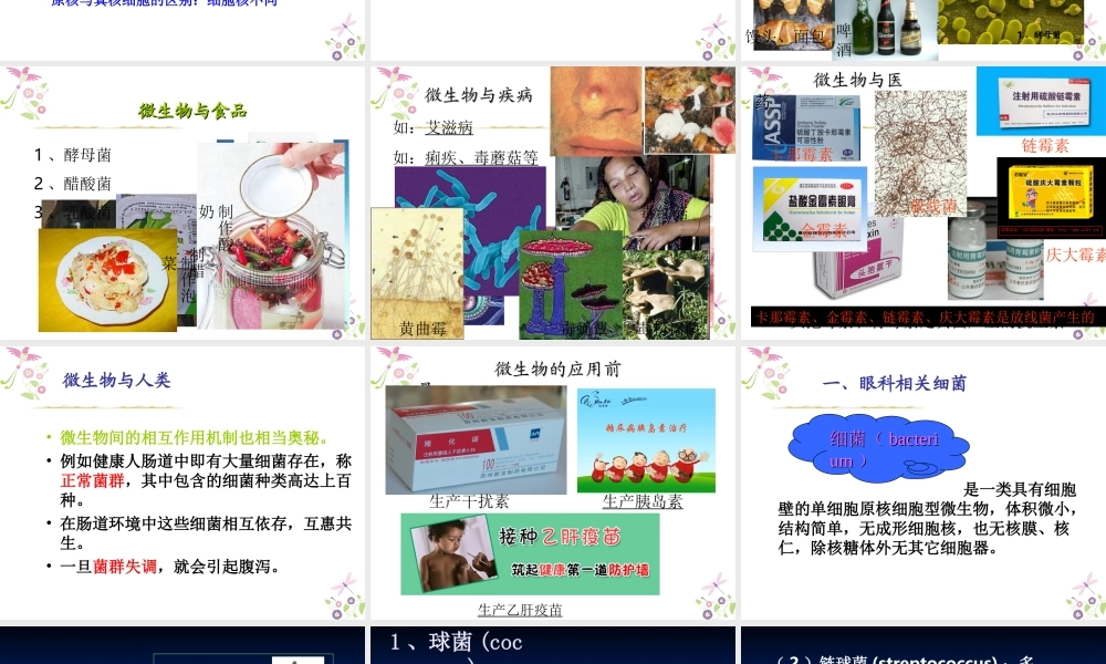 眼科相关病原体概述.ppt