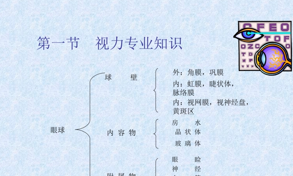 眼科知识.ppt