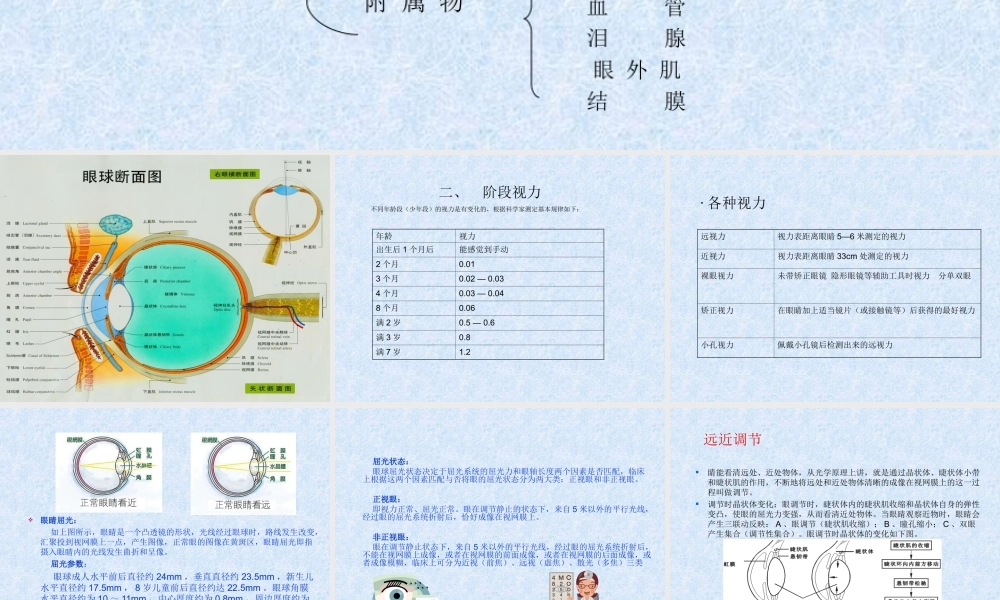 眼科知识.ppt