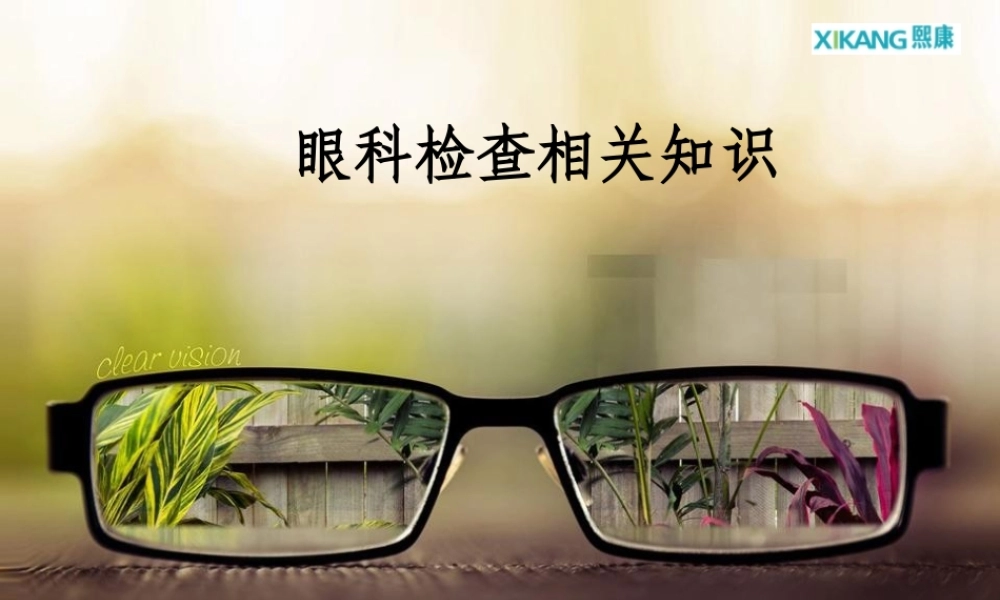 眼科相关知识简介..ppt