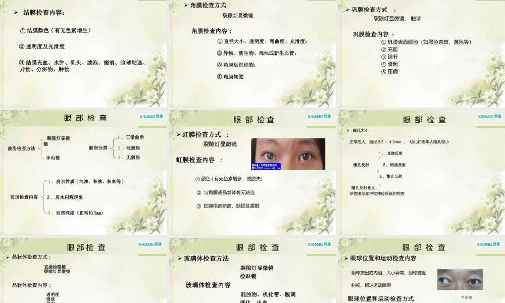 眼科相关知识简介..ppt