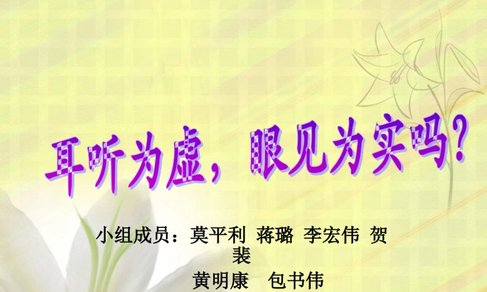 眼见为实要点.ppt