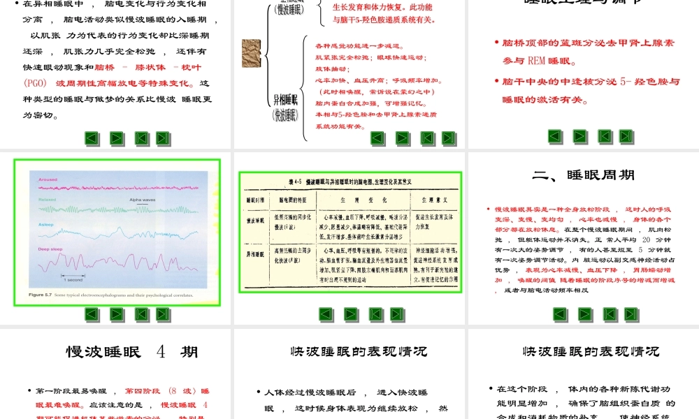 睡眠与注意及多动症.ppt